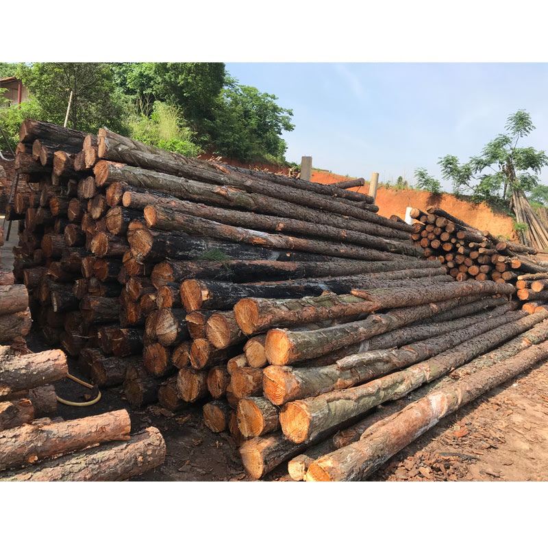 松木樁使用注意事項(xiàng)有哪些？