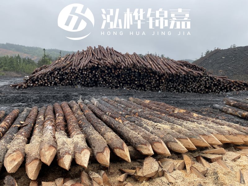 6米長松木樁有哪些作用，多少錢一根？
