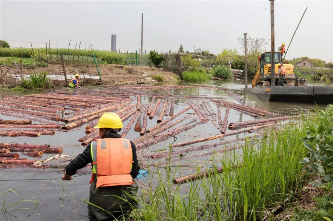 改善水環(huán)境！徐行122條段村級河道用木樁對河岸進行加固整治