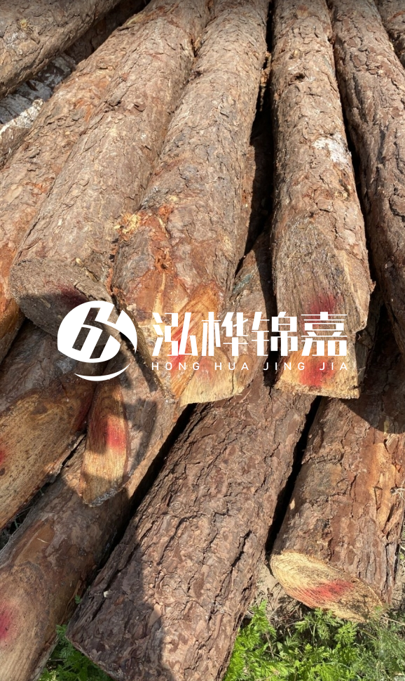 <strong>松木樁和杉木樁的用途區(qū)別？哪個更適合打樁用？</strong>