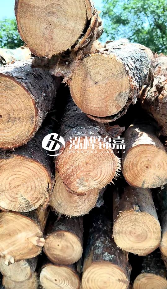 周口挖機(jī)打木樁專業(yè)施工-杉木樁施工打樁怎么打？