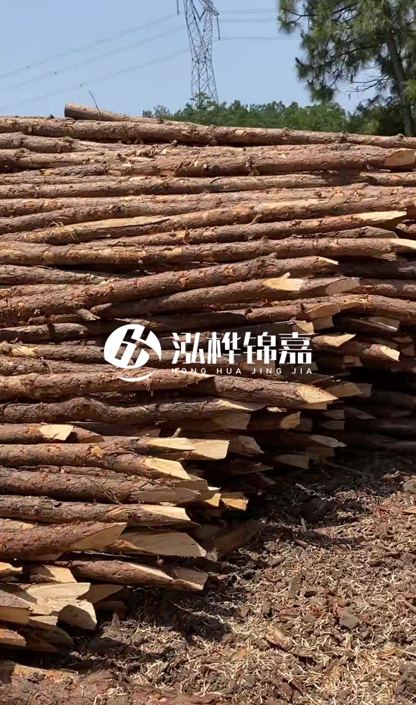 鄂州挖機(jī)打木樁專業(yè)施工-如何選擇高質(zhì)量的河道杉木樁？