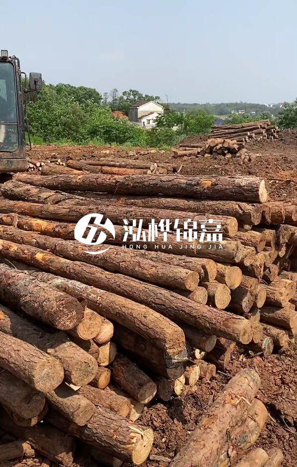 荊州挖機(jī)打木樁專業(yè)施工-河道打樁木被水浸泡后會(huì)不會(huì)變形嚴(yán)重？