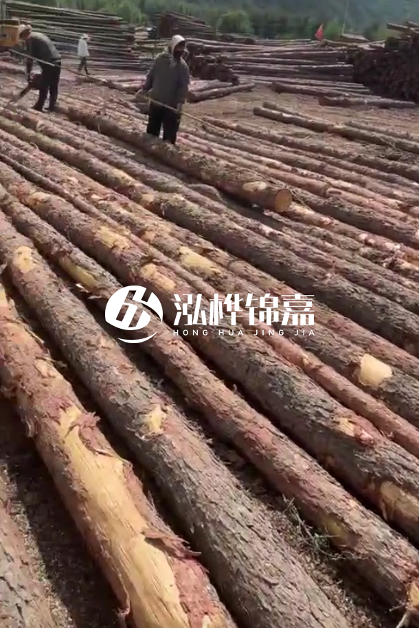 ?？谒赡緲对搭^廠家-松木樁最長可以做多少米？