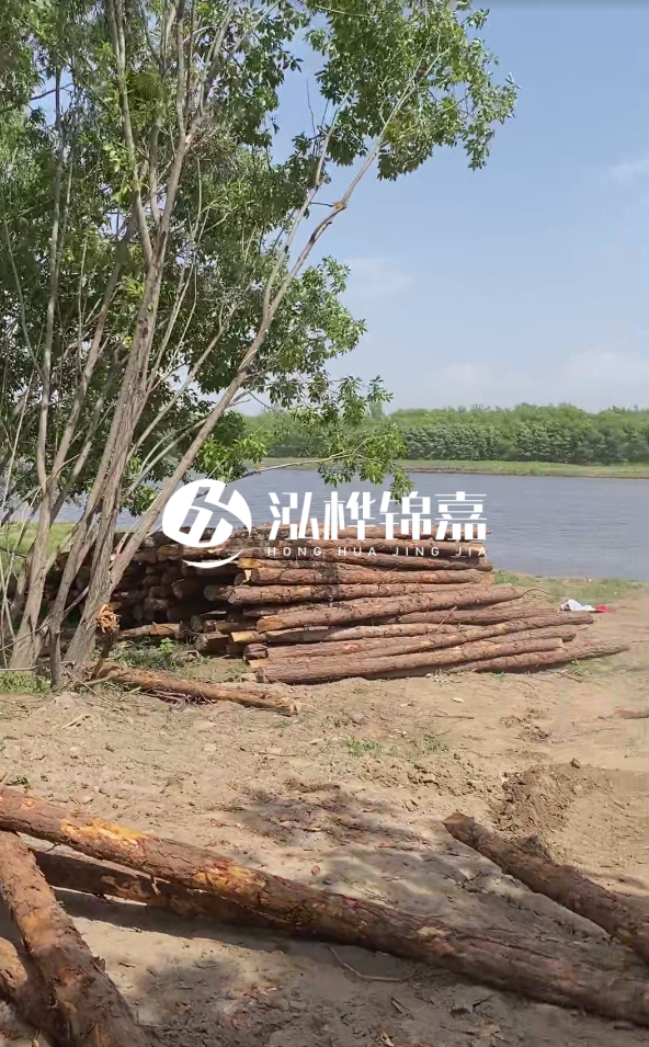 慶陽挖機打木樁專業(yè)施工-松木打樁過程中如何避免木材開裂？