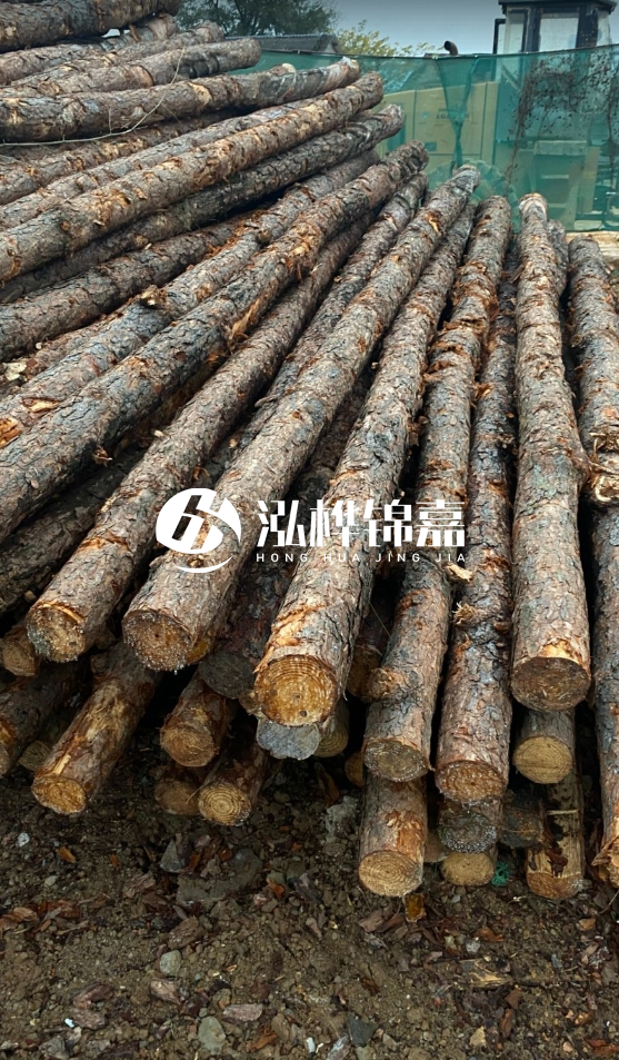 徐州松木樁批發(fā)源頭廠家-松木樁需要做防腐嗎？