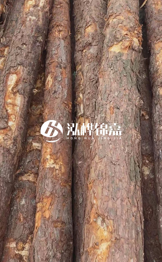 浙江地區(qū)大量供應(yīng)松木樁，源頭廠家在哪里？
