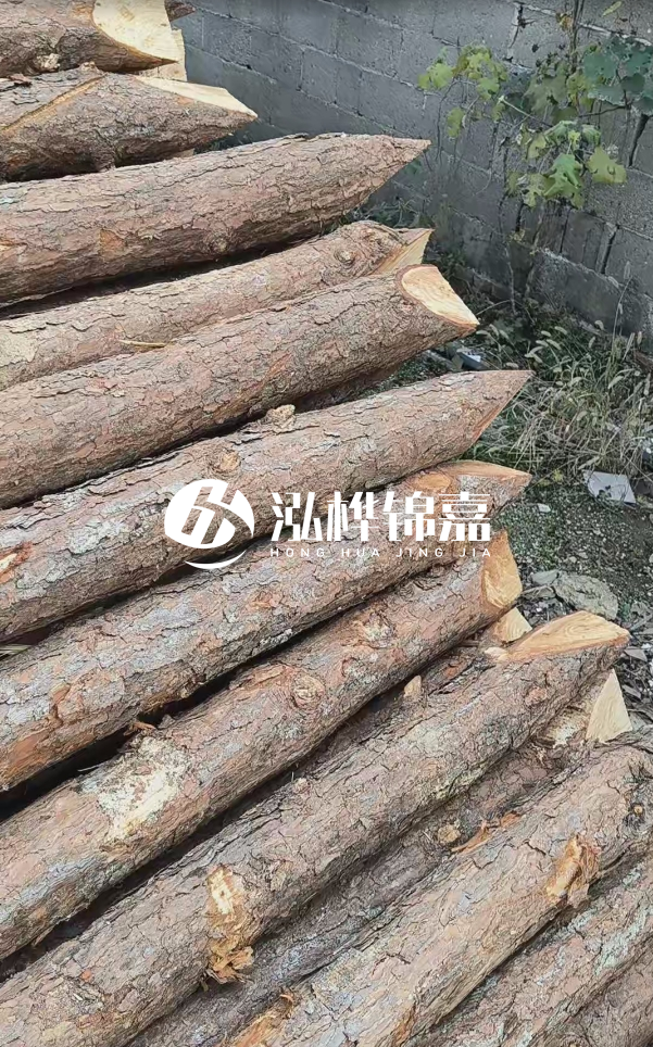 松木樁哪里能大量供應(yīng)？4米20公分松木樁價(jià)格是多少？