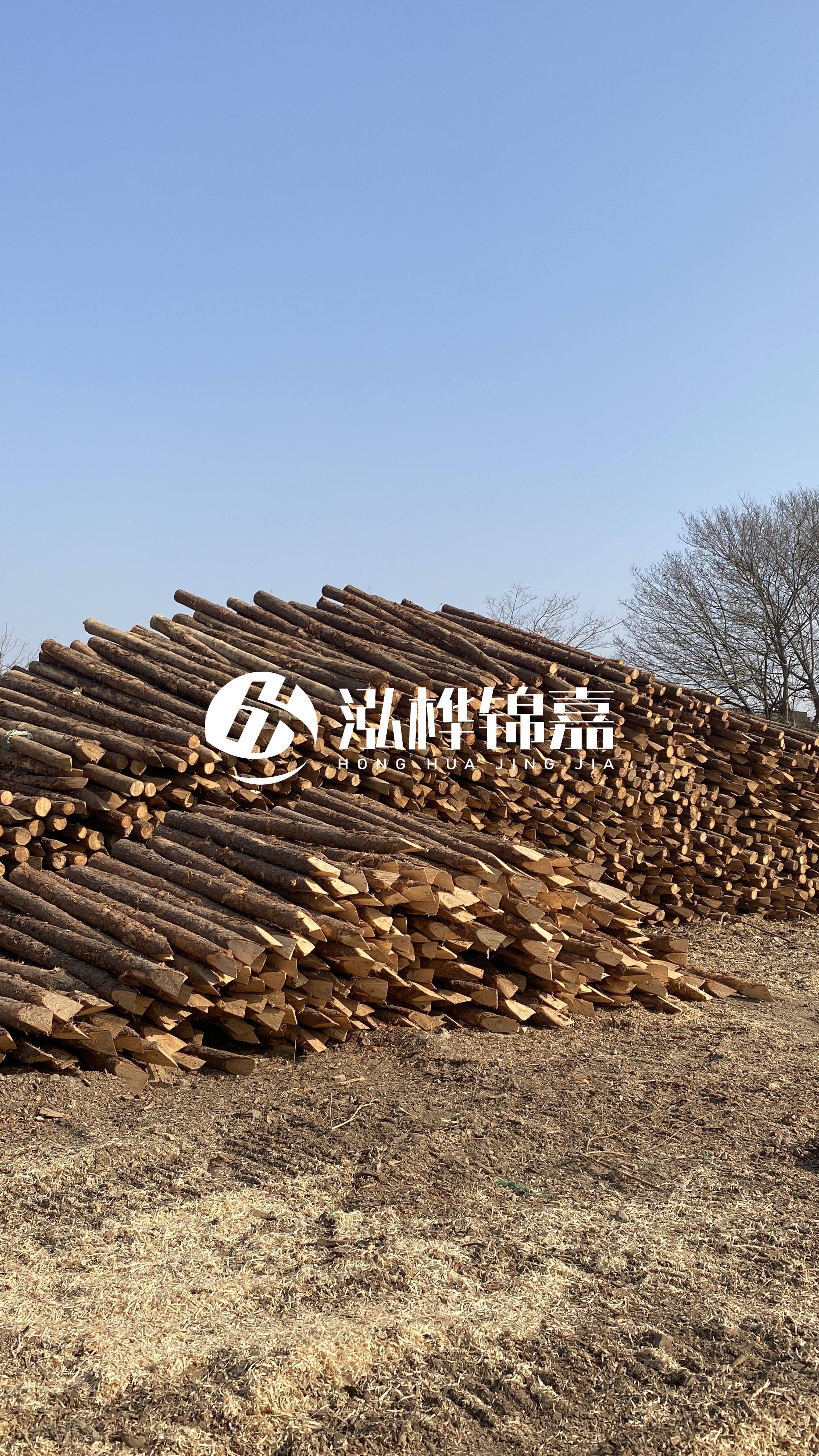 松木樁頭徑比尾徑大多少？計(jì)算方式是什么？