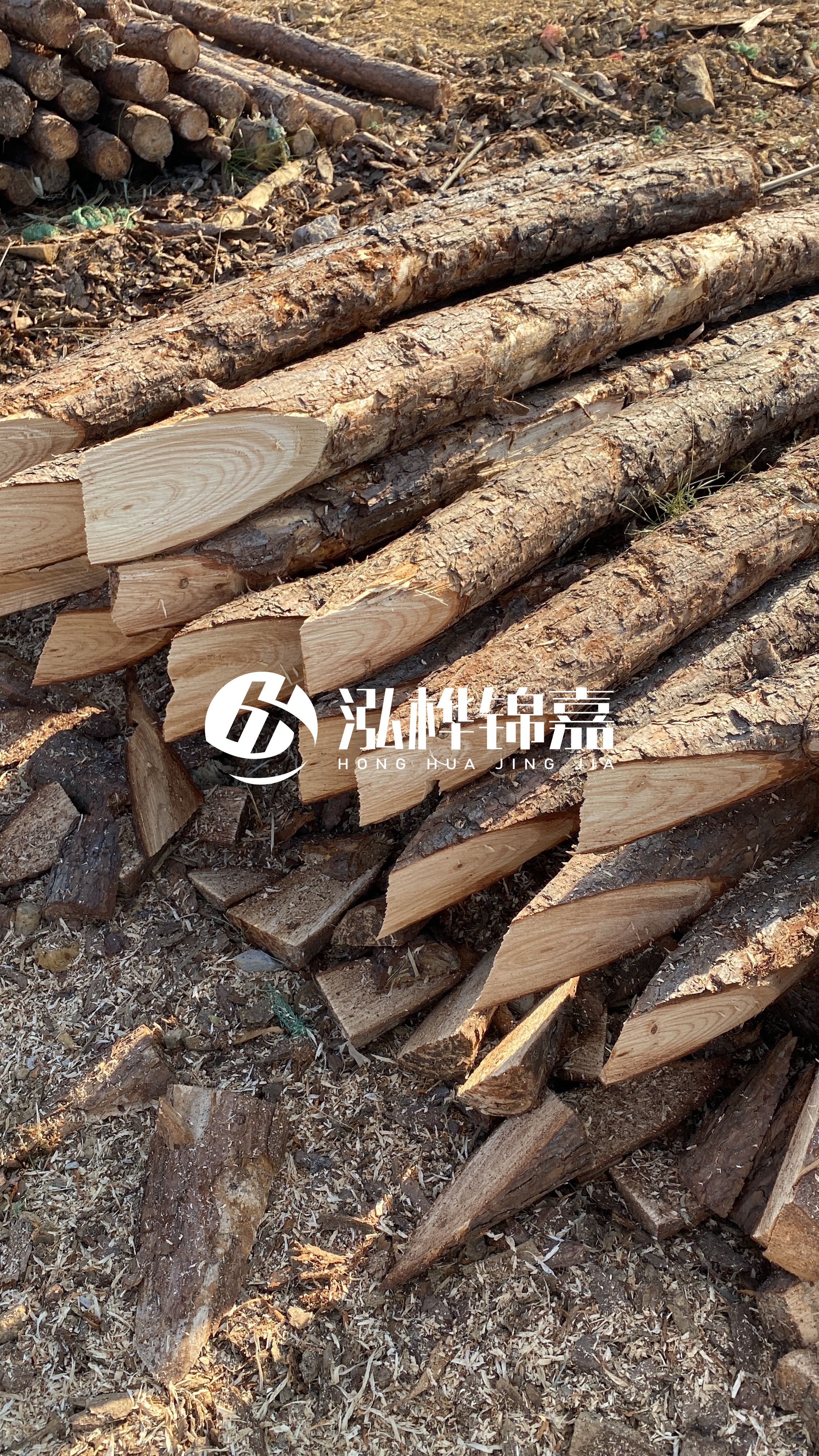 4米小頭直徑10-12公分松木樁價(jià)格揭秘：究竟多少錢一根？快來(lái)了解！