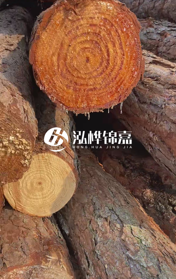 6米松木樁尾部11-14頭部多少？怎么算出來的？