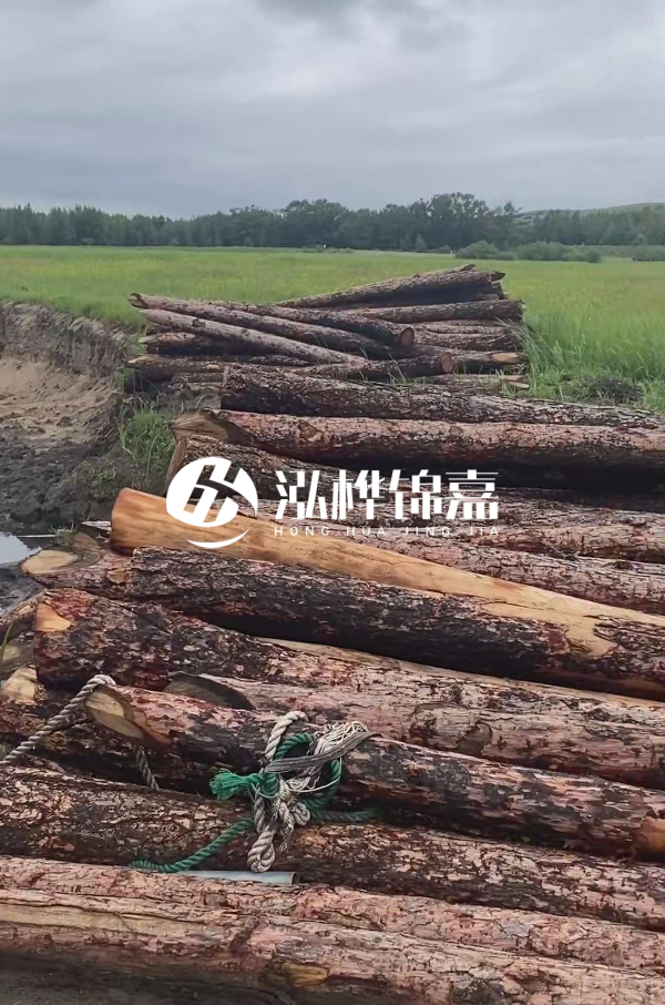 打樁木樁的選購標準是什么？材質(zhì)、尺寸與強度，哪些標準不能忽視？