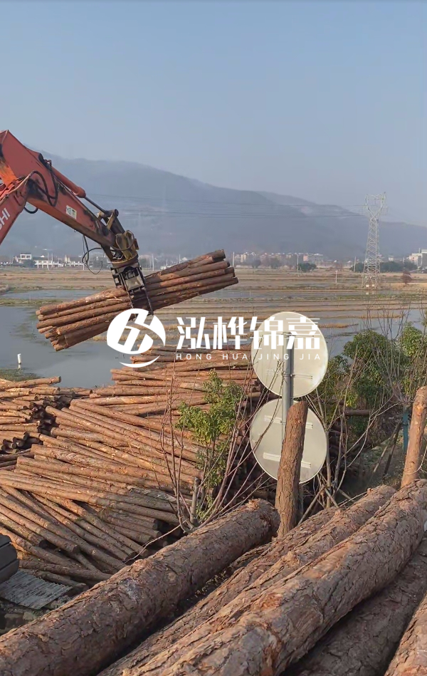 松木樁是否需要削皮呢？松木樁為什么不會爛掉呢？