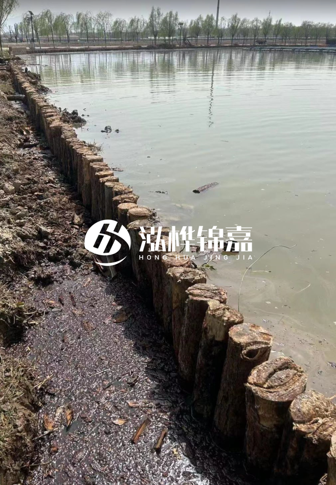 長沙松木樁批發(fā)市場(chǎng)在哪？廠家地址是多少？