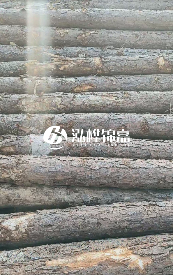 松木樁5米100mm一根多少錢-5米140mm多少錢？