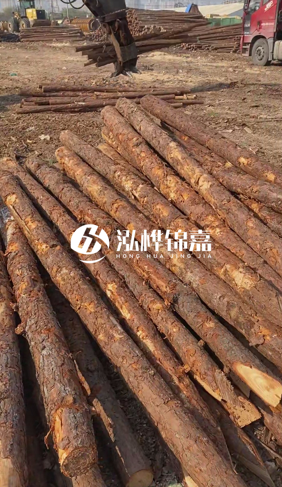 7米松木樁8一12公分價(jià)格？直徑15公分松木樁多少錢(qián)？