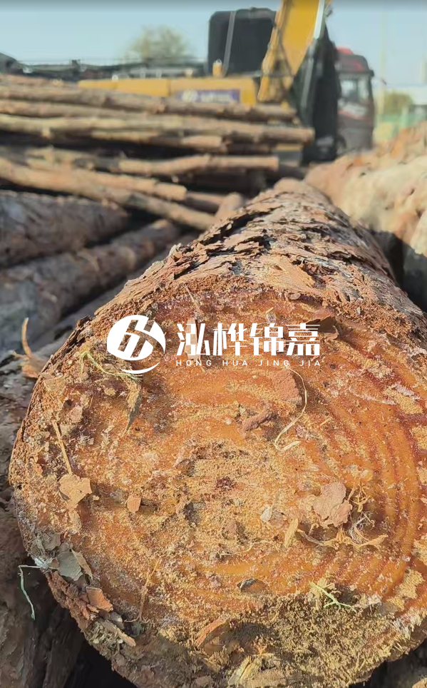 杉木樁價(jià)格多少錢(qián)一方-3米直徑14公分杉木樁價(jià)格？