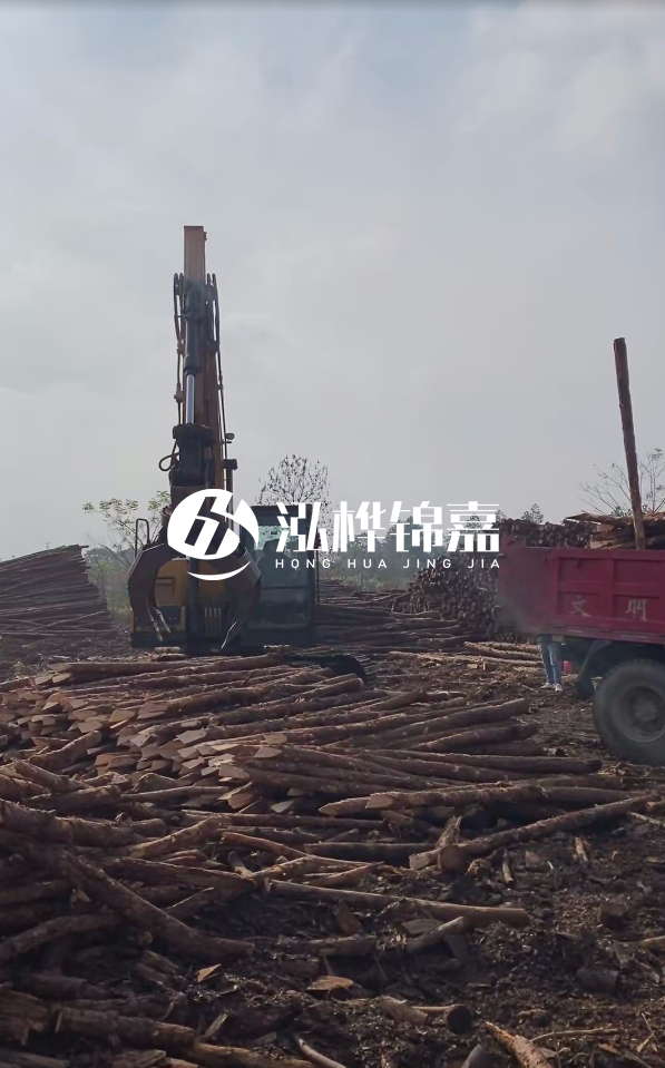 6米打樁木多少錢(qián)一根-6米10-15公分價(jià)格是多少？