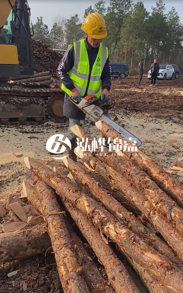 松木樁樁長1.5米稍徑12多少錢一根？樁長1.5米稍徑12大頭多少？