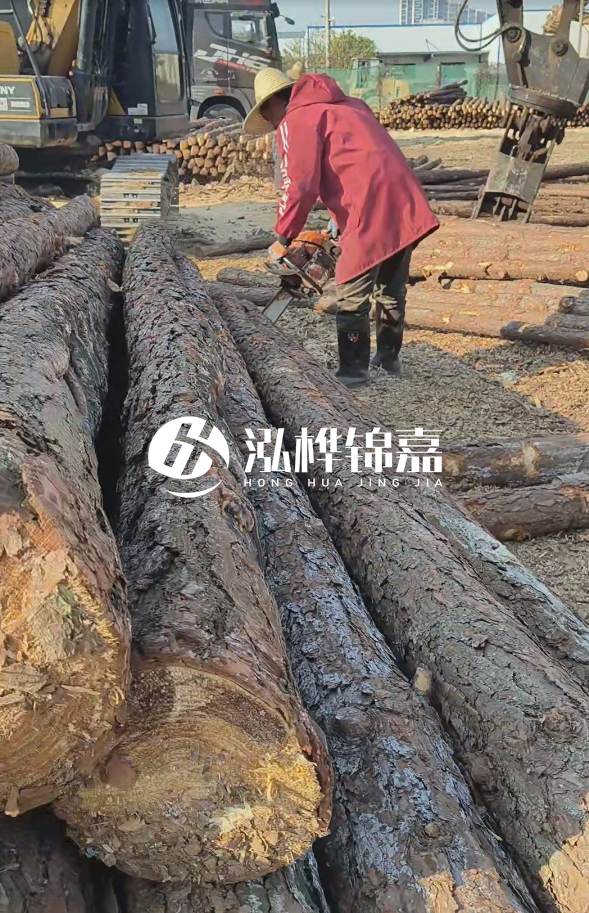 長沙打樁木批發(fā)廠家在哪里？聯(lián)系方式是什么？