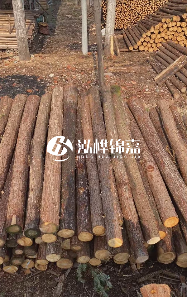 河道護坡選松木樁還是杉木樁？河道木樁一根多少錢？