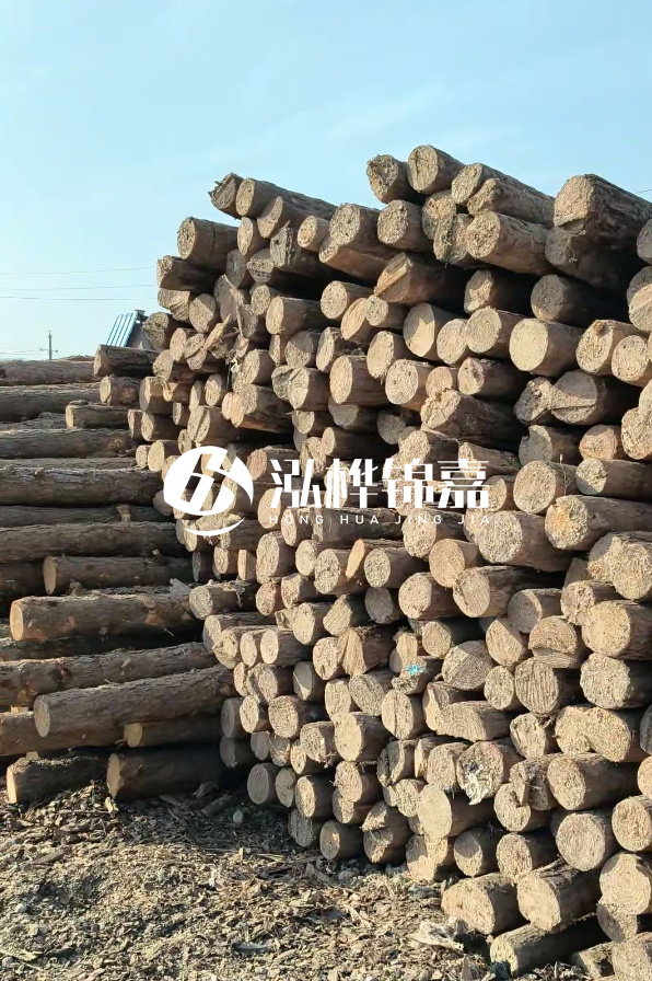 江西哪里有松木樁賣-4米12-14公分松木樁價格揭秘！