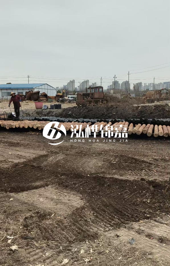 安徽打樁木材哪里買最好-5米直徑12杉木樁送到安徽多少錢？