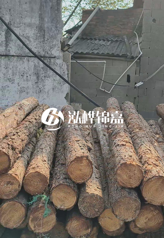 1.5米至2米長(zhǎng)松木樁價(jià)格表-10-12公分大概多少錢一根？