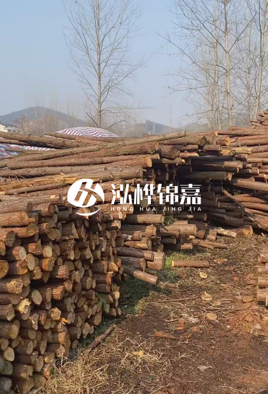 打杉木樁多少錢一根-一天能打多少根？