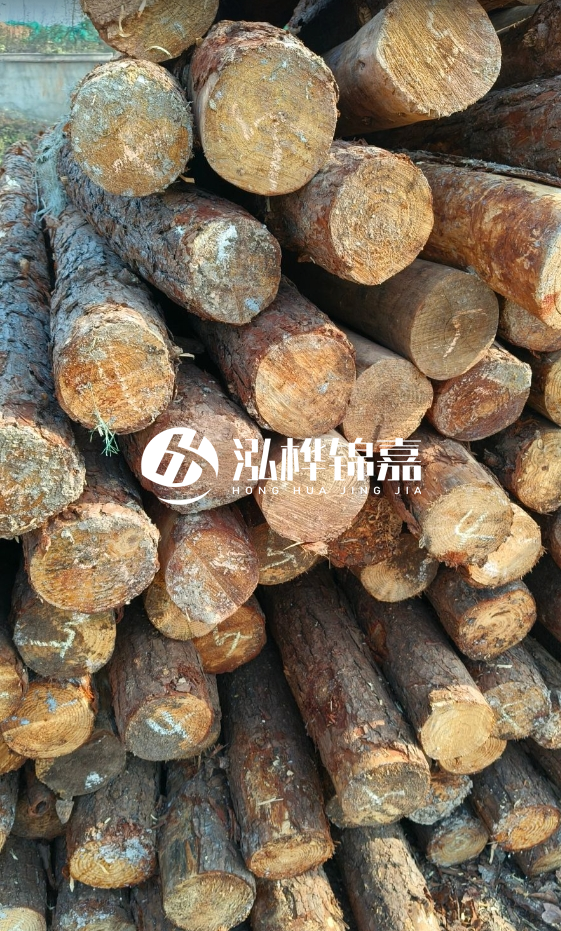 油松3米12公分多少錢一根？油松4米12公分多少錢一根？