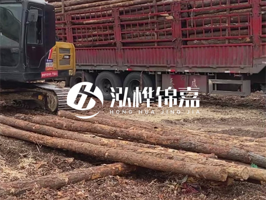 江西2米10-12松木樁多少錢一根？10-15公分價(jià)格又是多少？