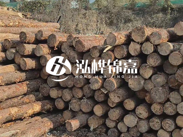 落葉松木材的主要產(chǎn)地在哪里？為什么比其他松木更耐腐蝕？