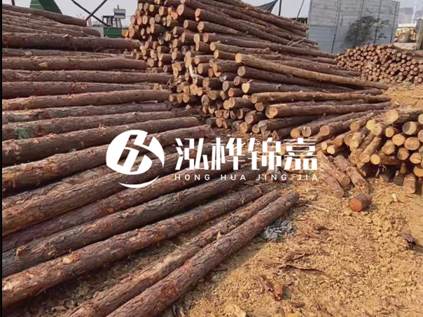 河道木樁施工遇到淤泥怎么辦？打多深才能防沖刷？