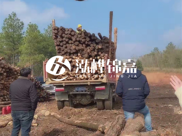 防腐木樁價(jià)格比普通木樁貴多少？防腐木樁有哪些處理方式？