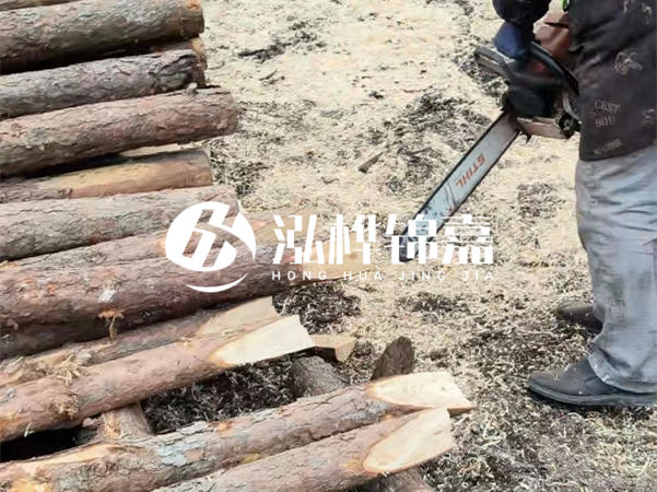 杉木樁批發(fā)廠(chǎng)家哪家好？產(chǎn)地直供渠道推薦！