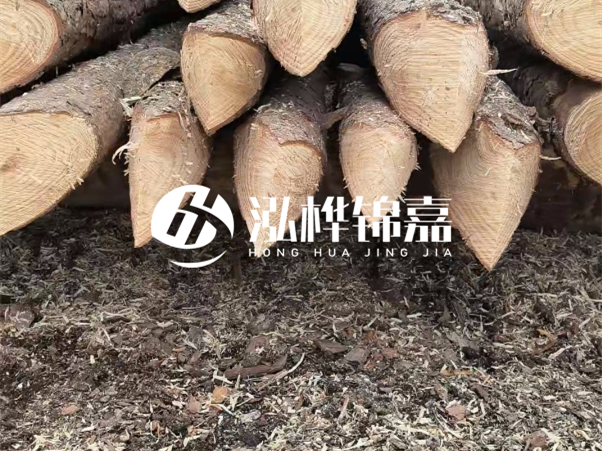 打樁木樁與鋼樁相比有哪些優(yōu)缺點(diǎn)？如何進(jìn)行后期維護(hù)？