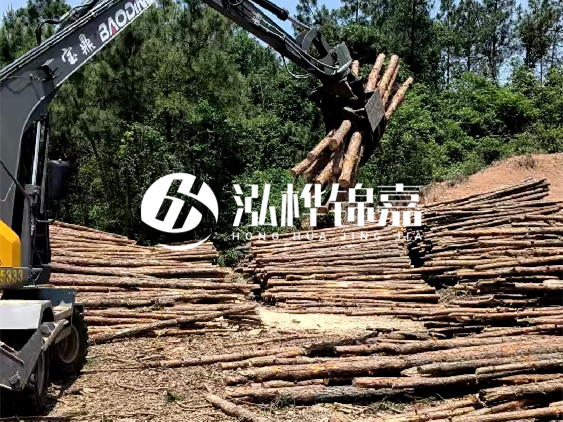 3米松木樁小頭10公分多少錢一根？大頭10公分又是多少錢？