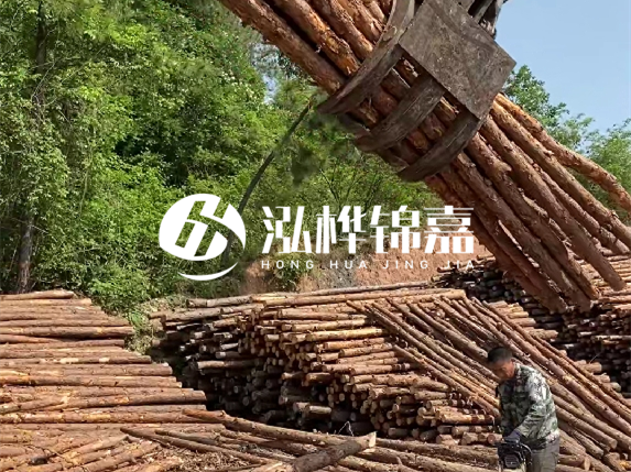 哪里能買到優(yōu)質(zhì) 3 米松木樁？長(zhǎng)沙有松木樁批發(fā)工廠嗎？