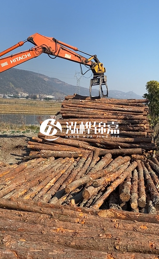 帶皮松木樁的防腐效果如何？和不帶皮松木樁價格差異有多大？