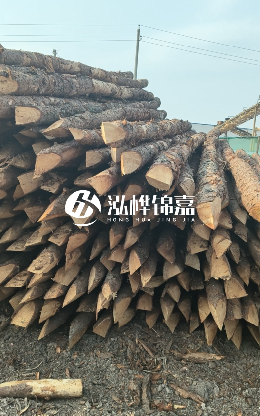 落葉松木材價格多少錢一立方？油松木材多少錢一立方？