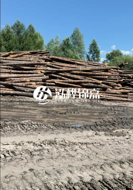 3米松木樁適合河道護(hù)坡嗎？小頭直徑8厘米的松木樁價(jià)格如何？