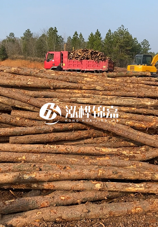 8米小頭11-13CM的松木樁價(jià)格是多少？打樁施工怎么算？