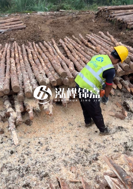 江蘇打樁木源頭廠家泓樺錦嘉-2.5米大頭10CM多少錢一根？