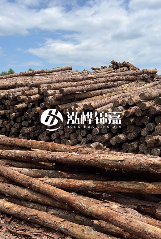 松木打樁木的價(jià)格波動(dòng)受哪些因素影響？杉木樁能代替松木樁嗎？