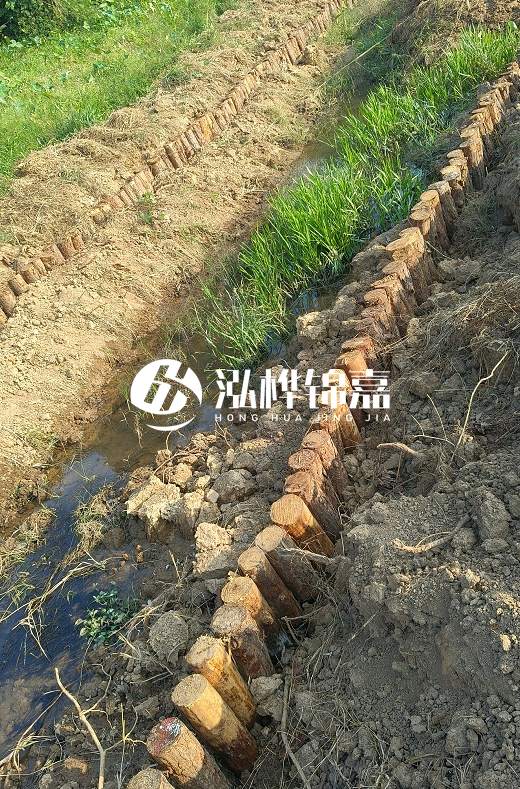 湖南松木樁批發(fā)廠家直銷-松木樁做碳化多少錢一根？