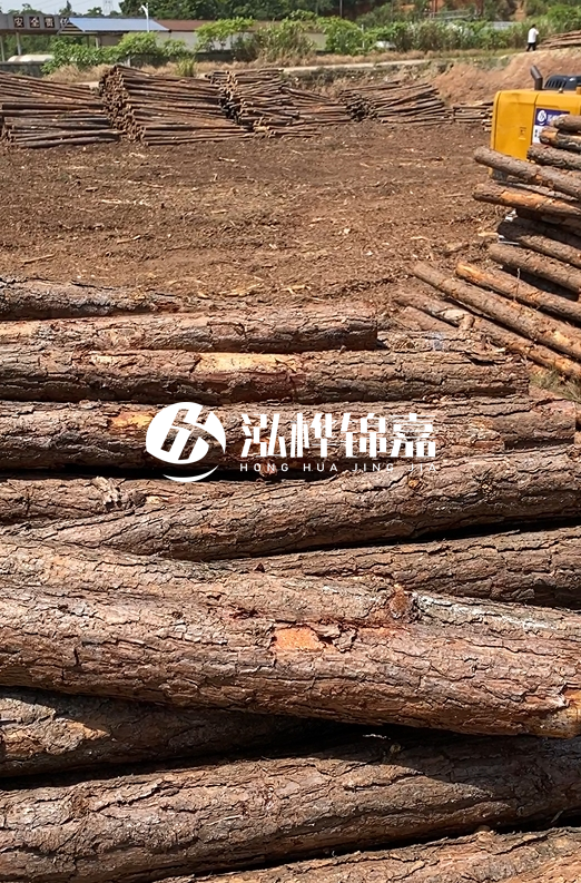 陜西河道木樁源頭廠家泓樺錦嘉-3米大頭11-13厘米多少錢一根？