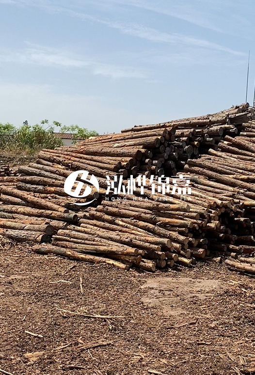 3.5米松木樁單價(jià)含稅怎么計(jì)算？碳化處理成本增加多少？