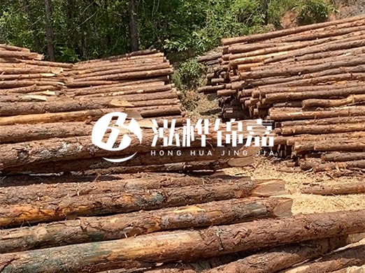 松木樁的運(yùn)輸費(fèi)用是否包含卸車(chē)費(fèi)？卸貨時(shí)需要注意哪些安全問(wèn)題？