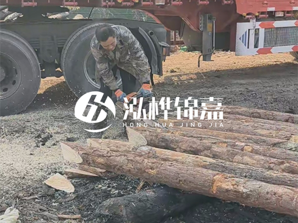 松木圓木價(jià)格大概多少一方-松木樁廠家按方可以賣嗎？