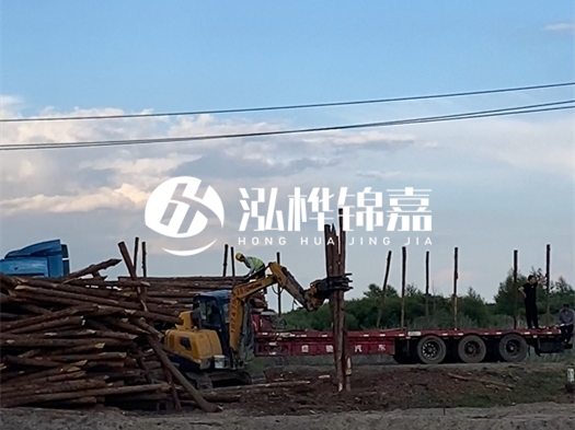 河北打樁木源頭廠家泓樺錦嘉 - 北方常用打樁木是什么？